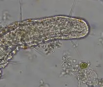 爱游戏平台-eB(麖??顠