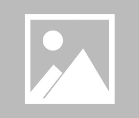 AYX SPORTS-今晚突围战来临，上海久事围绕NBA常规赛队长鼓劲，球迷炸锅，纪律约束更严格的简单介绍